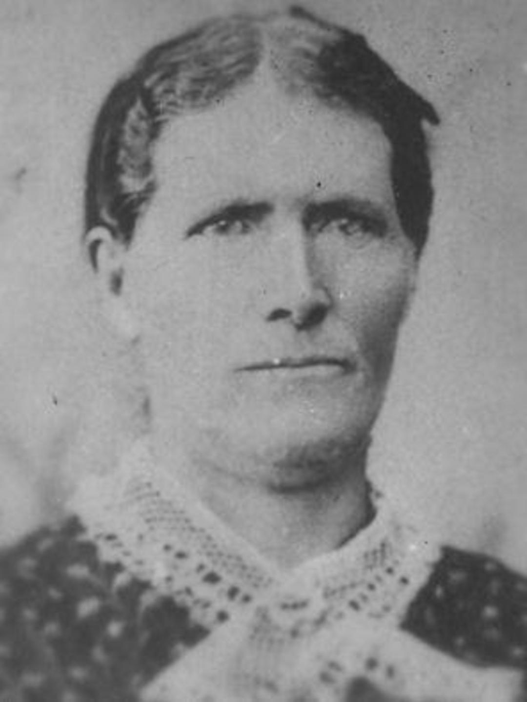 Martha Minerva Reynolds (1829 - 1901) Profile